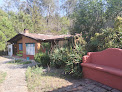 Casa En El Bosque