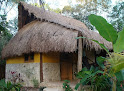 Casa Mango