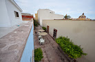 El Petate Hostel