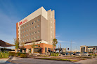 Ibis Torreón