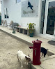 K9 Baja Resort Hotel De Perros