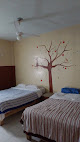 La Posada Del Arbol