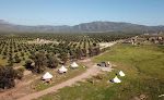 Lago Valle Wine Glamping
