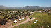 Lago Valle Wine Glamping