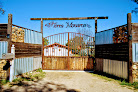 Terra Monarca