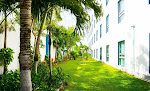 The Magic Hotel