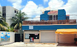 Venado 28