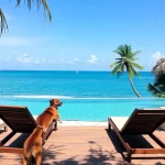 Hoteles Pet Friendly en Akumal