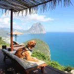 Hoteles Pet Friendly en Balancán