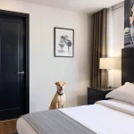 Hoteles Pet Friendly en Cd Hidalgo