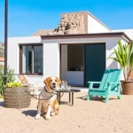 Hoteles Pet Friendly en Cdad. Obregón