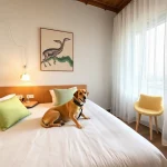 Hoteles Pet Friendly en Cdad. Tula