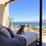 Hoteles Pet Friendly en Celestino Gazca Villaseñor