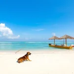 Hoteles Pet Friendly en Chetumal