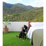 coatepec
