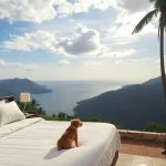 Hoteles Pet Friendly en Cocoyoc