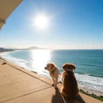 Hoteles Pet Friendly en Culiacán Rosales