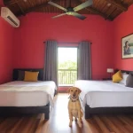 Hoteles Pet Friendly en Cunduacán