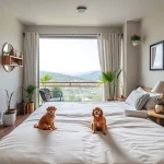 Hoteles Pet Friendly en El Potrero