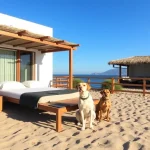 Hoteles Pet Friendly en Ensenada