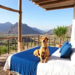 Hoteles Pet Friendly en Erongarícuaro