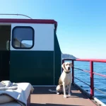 Hoteles Pet Friendly en Ferrocarrilero