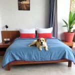 Hoteles Pet Friendly en Guerrero Negro