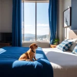 Hoteles Pet Friendly en Heroica Matamoros