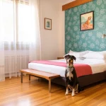 Hoteles Pet Friendly en Heroica Puebla de Zaragoza