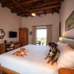 Hoteles Pet Friendly en Imuris