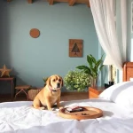 Hoteles Pet Friendly en La Cascada
