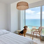 Hoteles Pet Friendly en Las Glorias