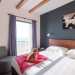 Hoteles Pet Friendly en Las Jarretaderas