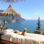 Hoteles Pet Friendly en Macuspana