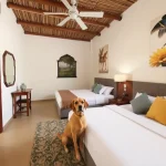 Hoteles Pet Friendly en Matamoros