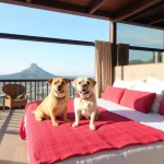 Hoteles Pet Friendly en Monte Alto