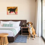 Hoteles Pet Friendly en Nuevo Vallarta