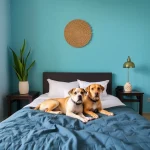Hoteles Pet Friendly en Oaxtepec