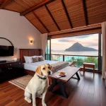 Hoteles Pet Friendly en Paraiso