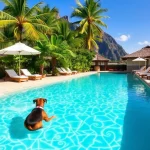 Hoteles Pet Friendly en Paraíso