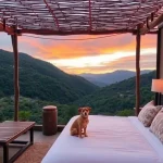 Hoteles Pet Friendly en Pátzcuaro