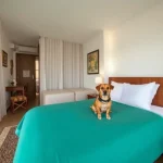 Hoteles Pet Friendly en Quintana Roo