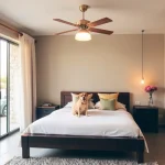 Hoteles Pet Friendly en Rancho de Piedra
