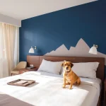 Hoteles Pet Friendly en Saltillo