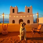Hoteles Pet Friendly en San Andrés Cholula