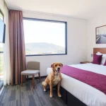 Hoteles Pet Friendly en San Antonio de las Alazanas