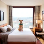 Hoteles Pet Friendly en San Francisco Ocotlán
