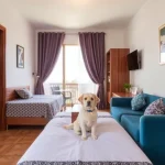Hoteles Pet Friendly en San Luis Potosí
