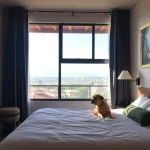 Hoteles Pet Friendly en San Pedro Garza García