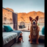 Hoteles Pet Friendly en San Pedro Jácuaro